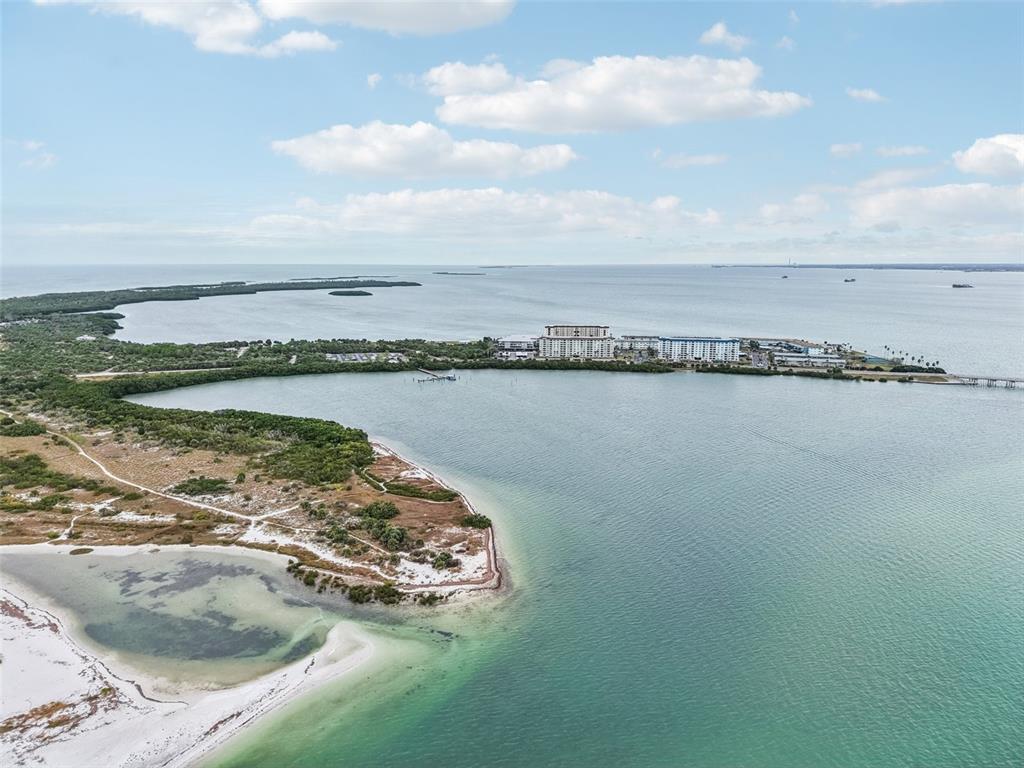 9 Haig Place, Unit 704 Dunedin, FL 34698 - Photo 2 of 44