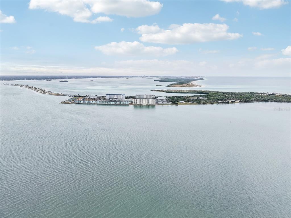 9 Haig Place, Unit 704 Dunedin, FL 34698 - Photo 22 of 44