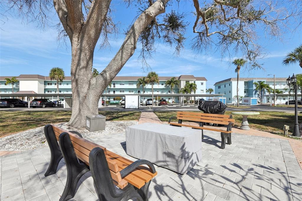 9 Haig Place, Unit 704 Dunedin, FL 34698 - Photo 24 of 44