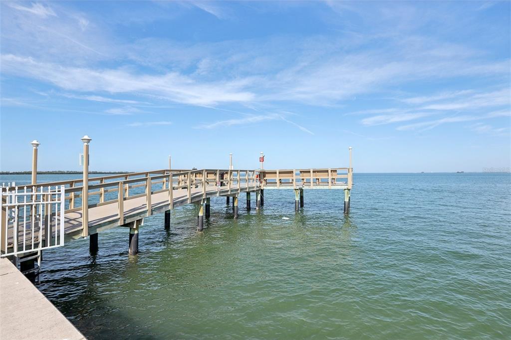 9 Haig Place, Unit 704 Dunedin, FL 34698 - Photo 29 of 44