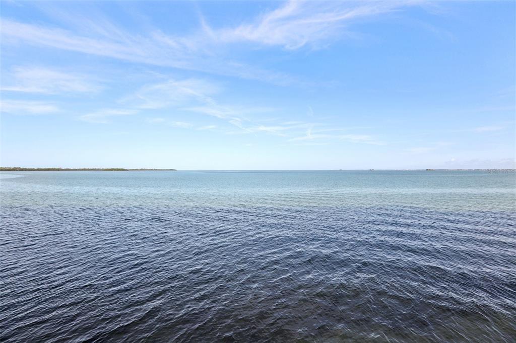 9 Haig Place, Unit 704 Dunedin, FL 34698 - Photo 34 of 44