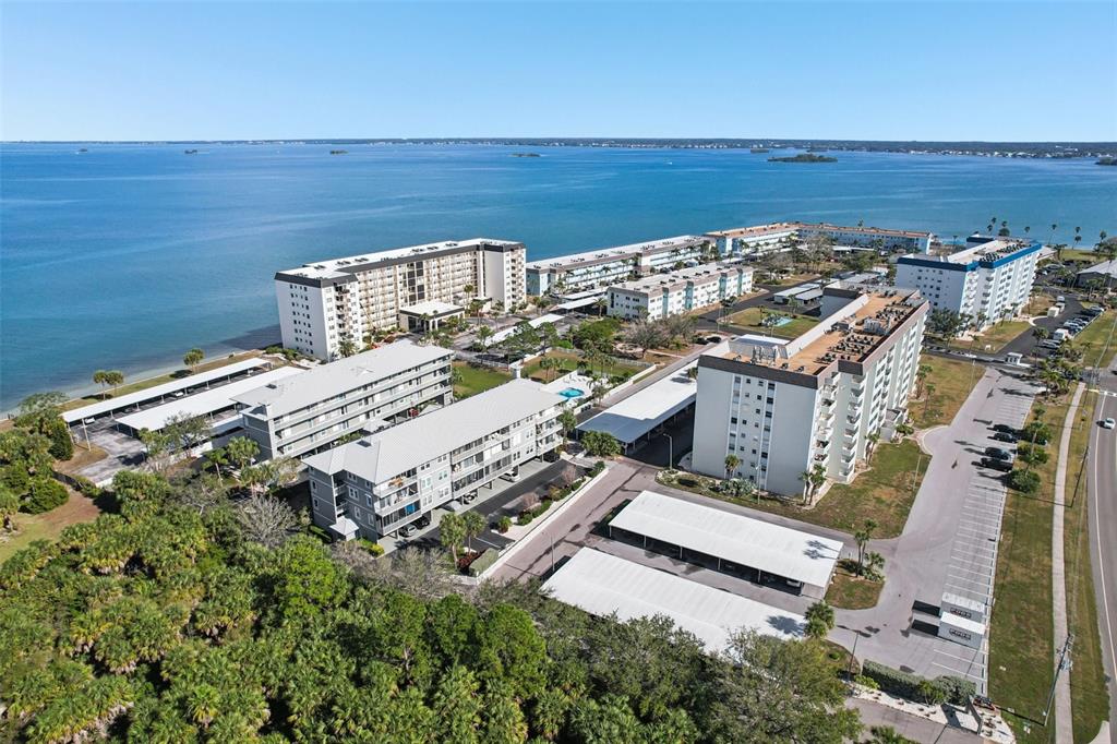 9 Haig Place, Unit 704 Dunedin, FL 34698 - Photo 40 of 44