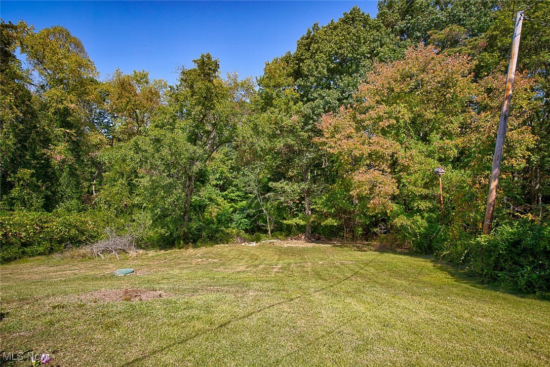 8813 Clinton Road Cambridge, OH 43725 - Photo 19 of 28 View of back yard