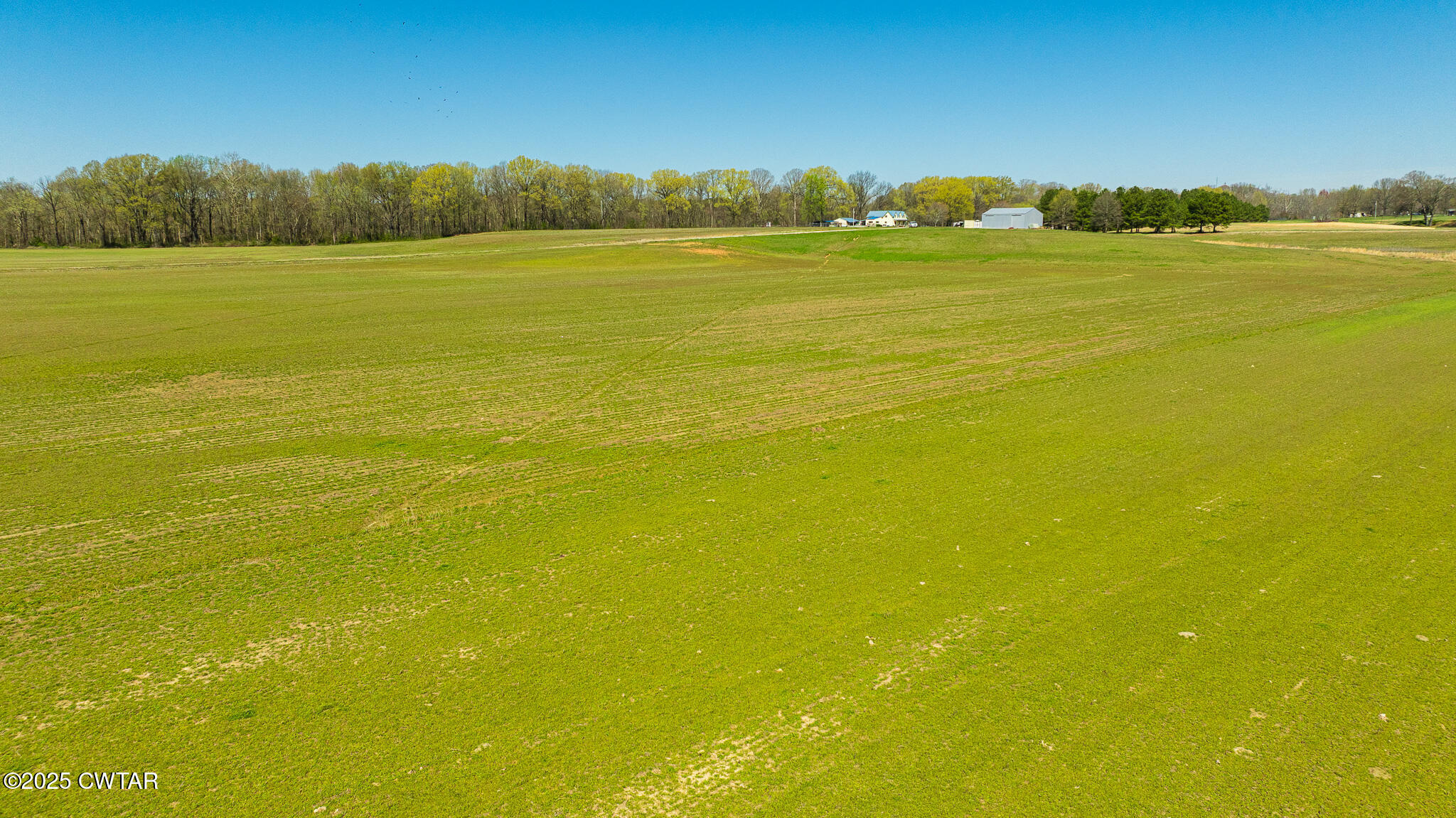 0 Bob Cox Road Sharon, TN 38255 - Photo 8 of 11 DJI_20250325122658_0034_D