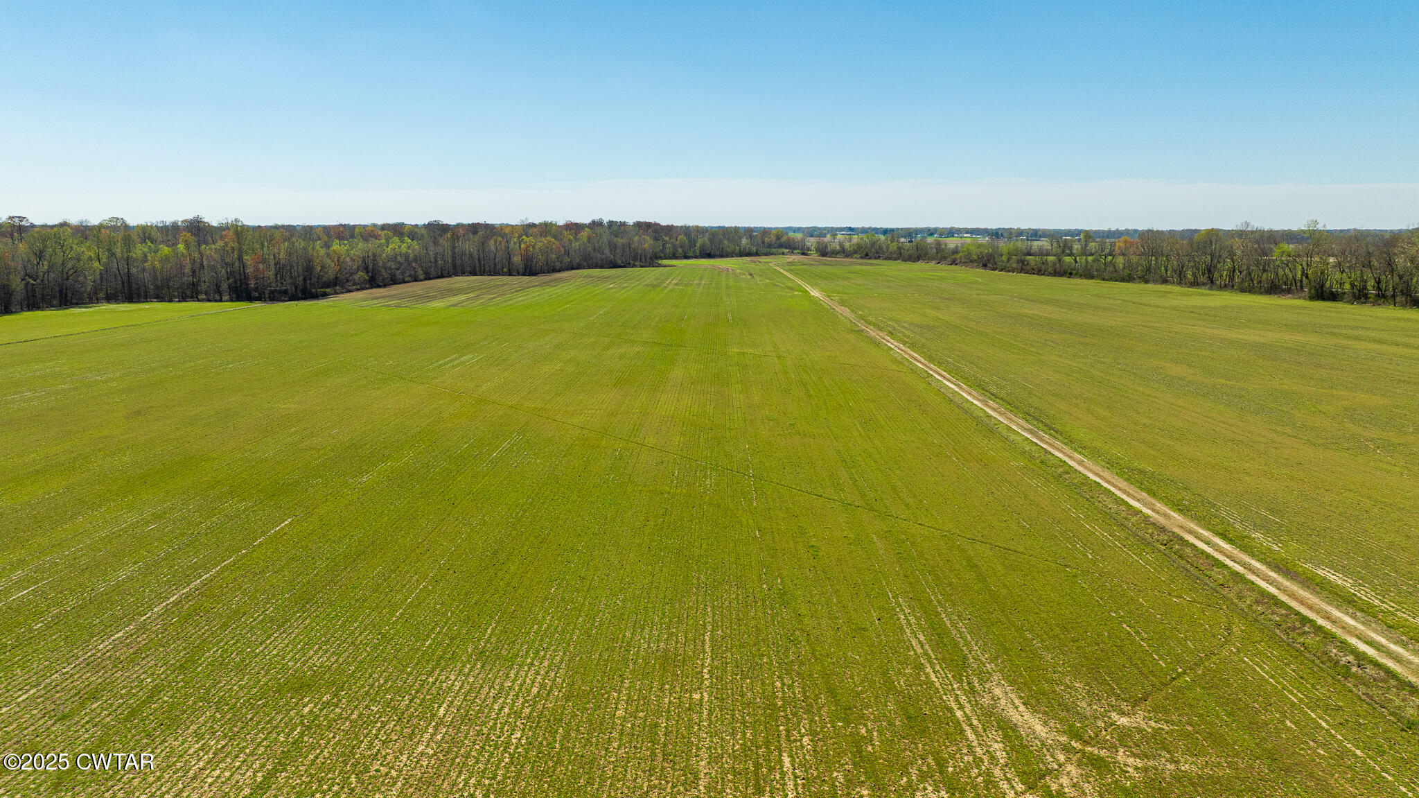 0 Bob Cox Road Sharon, TN 38255 - Photo 9 of 11 DJI_20250325122723_0035_D
