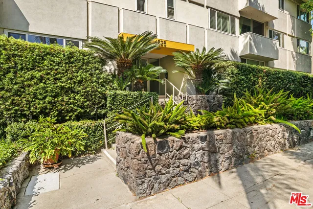 a plant with a plant in front of it