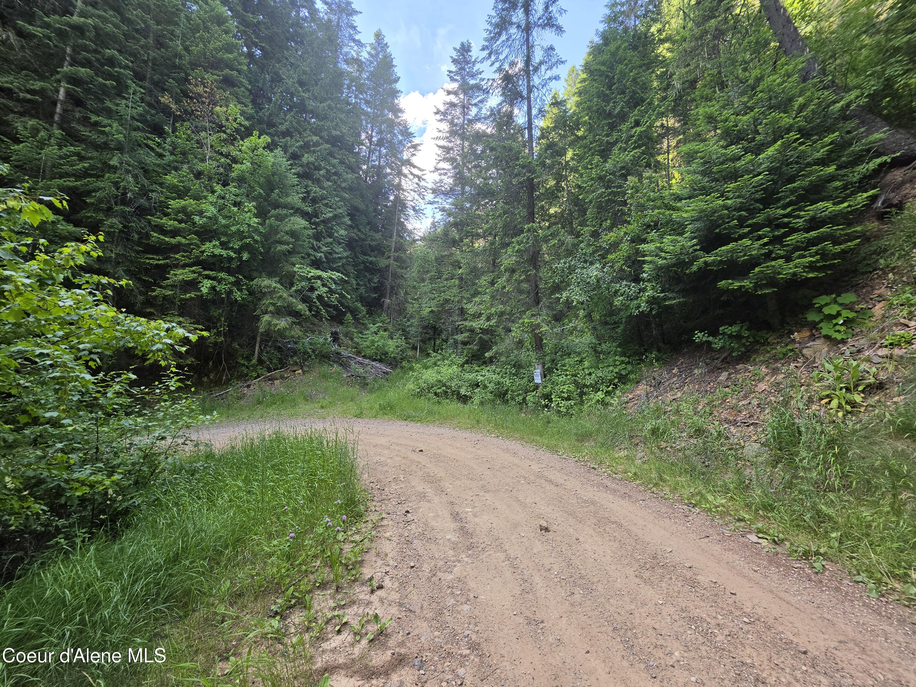 480 Dunn Peak Road Avery, ID 83802 - Photo 20 of 66 Near Avery Creek