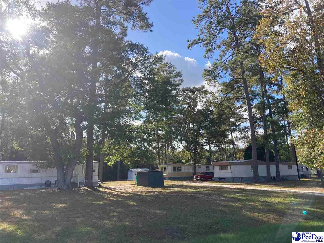 Old Hamer Road Hamer, SC 29547 - Photo 2 of 11 Gallery Image 2