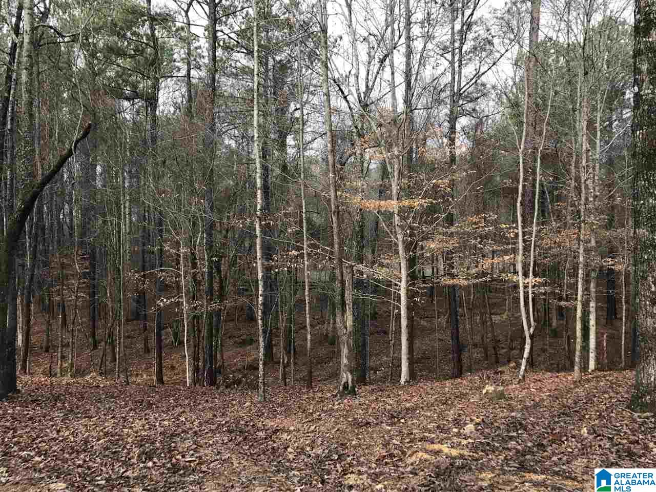 1083 Highway 95 Helena Al, Unit 1 Helena, AL 35080 - Photo 1 of 2