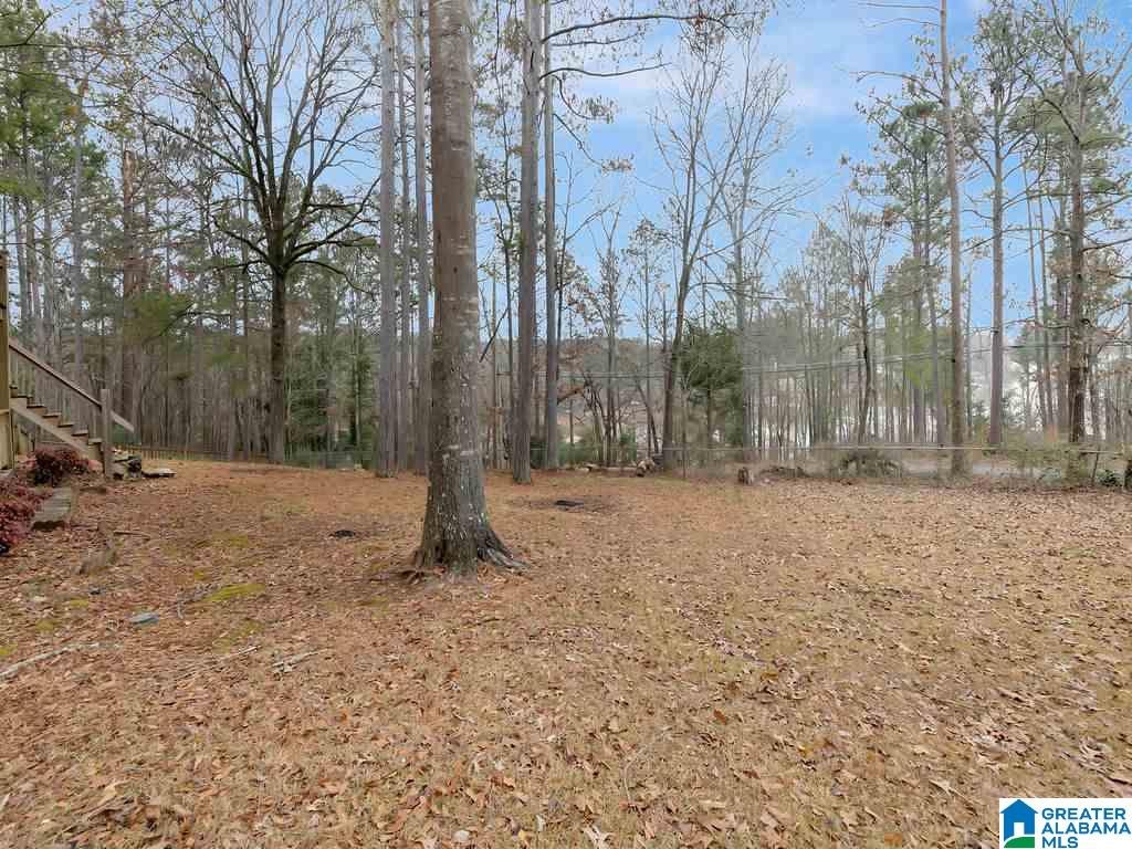 4956 Autumn Ridge Trail Pell City, AL 35128 - Photo 38 of 41