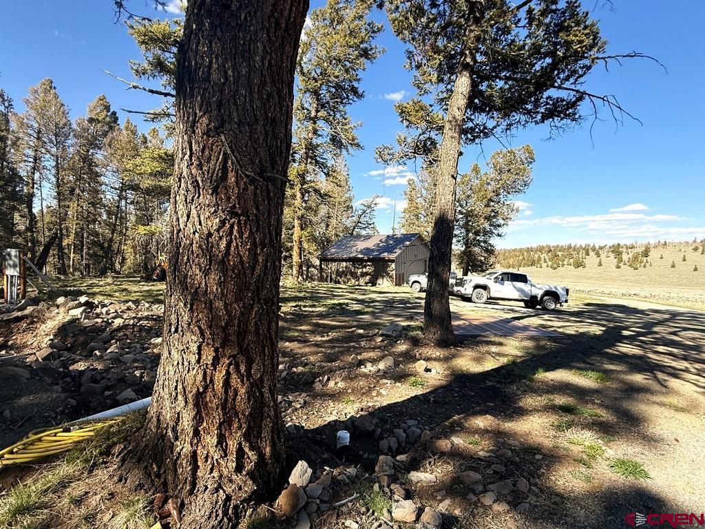 5333 Oso Creek Road Powderhorn, CO 81243 - Photo 13 of 18
