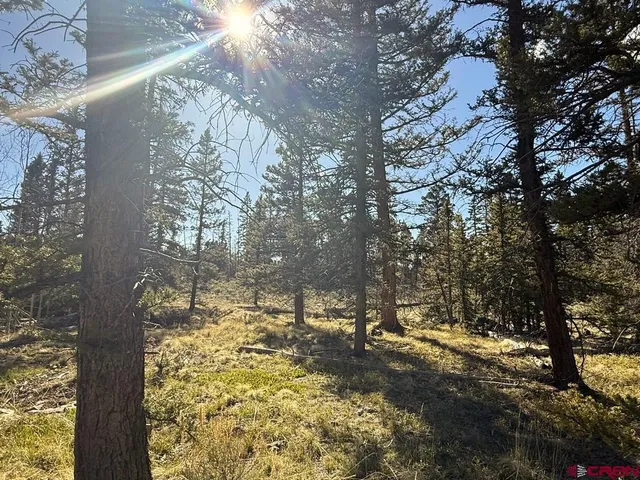 a view of open area with tree in the background