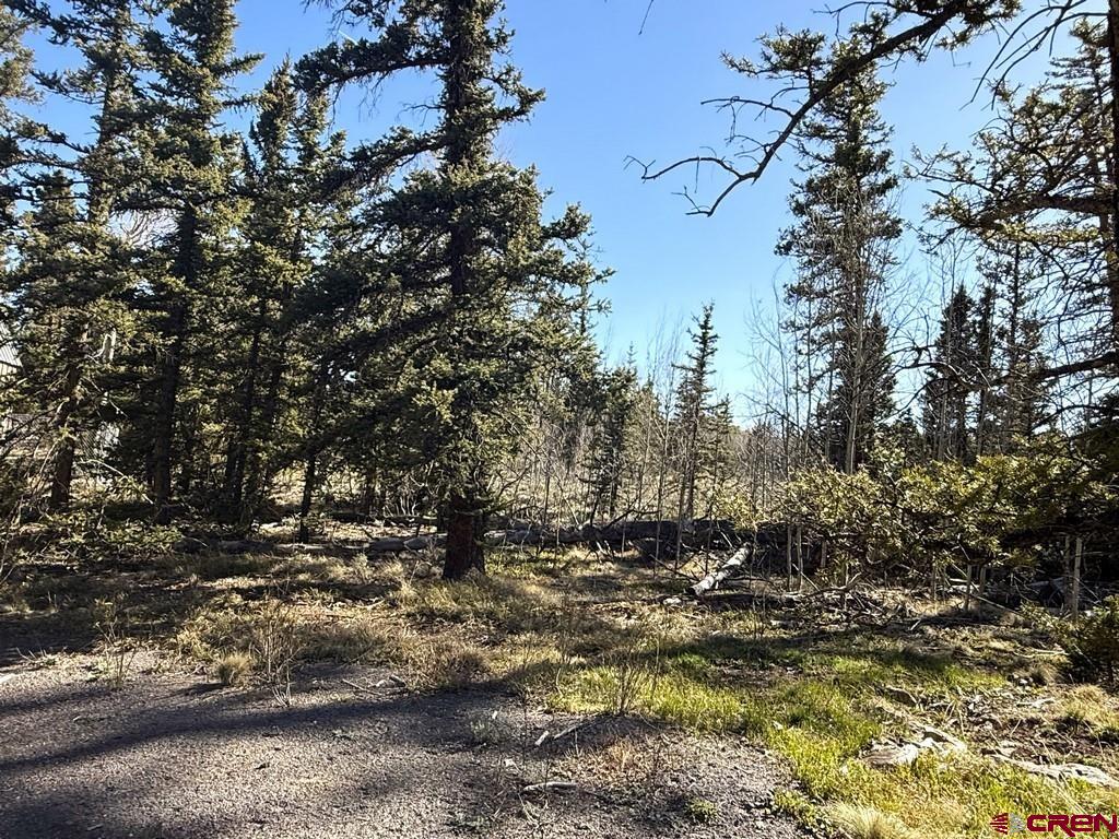 5333 Oso Creek Road Powderhorn, CO 81243 - Photo 17 of 18 a view of outdoor space with lots of trees
