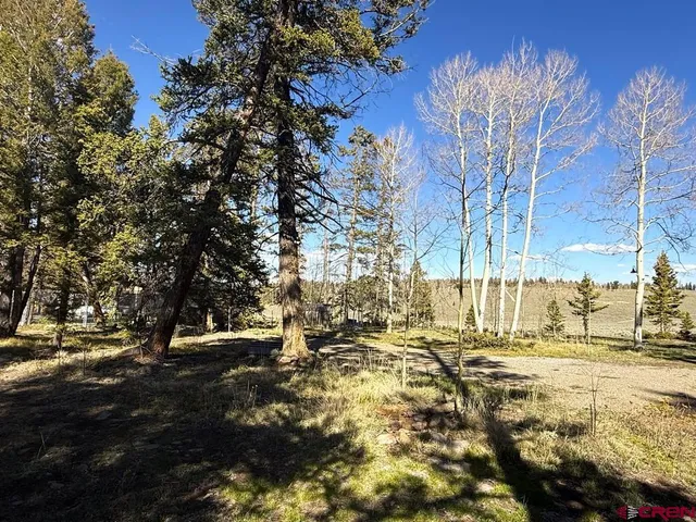 a view of yard along with trees