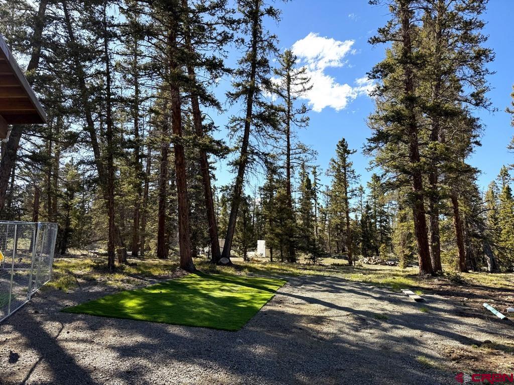 5333 Oso Creek Road Powderhorn, CO 81243 - Photo 7 of 18