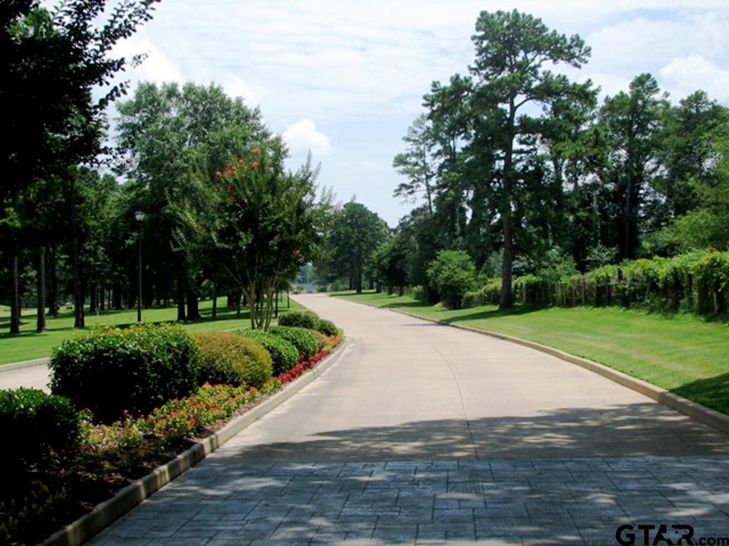 100 Elm Tree Circle Bullard, TX 75757 - Photo 10 of 38