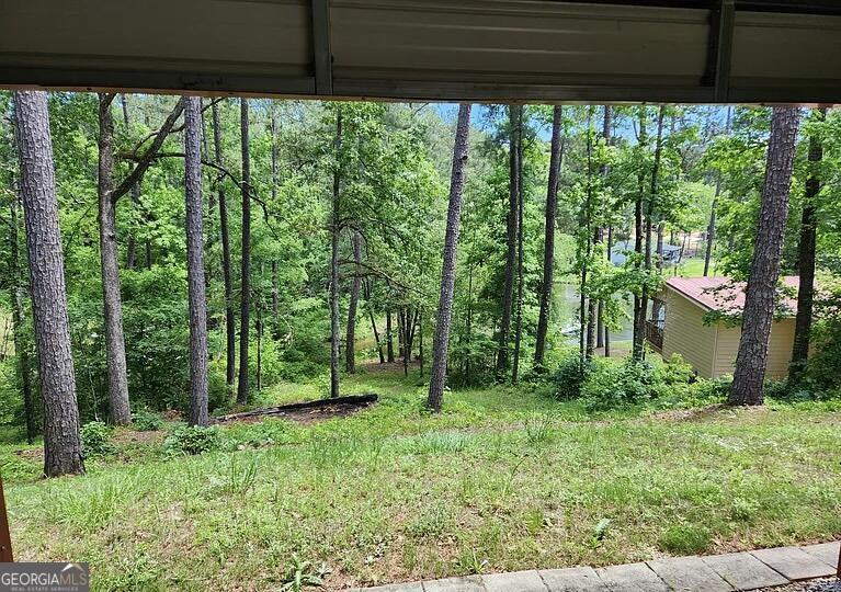 333 Venture Trail Sparta, GA 31087 - Photo 16 of 16 a view of outdoor space and yard