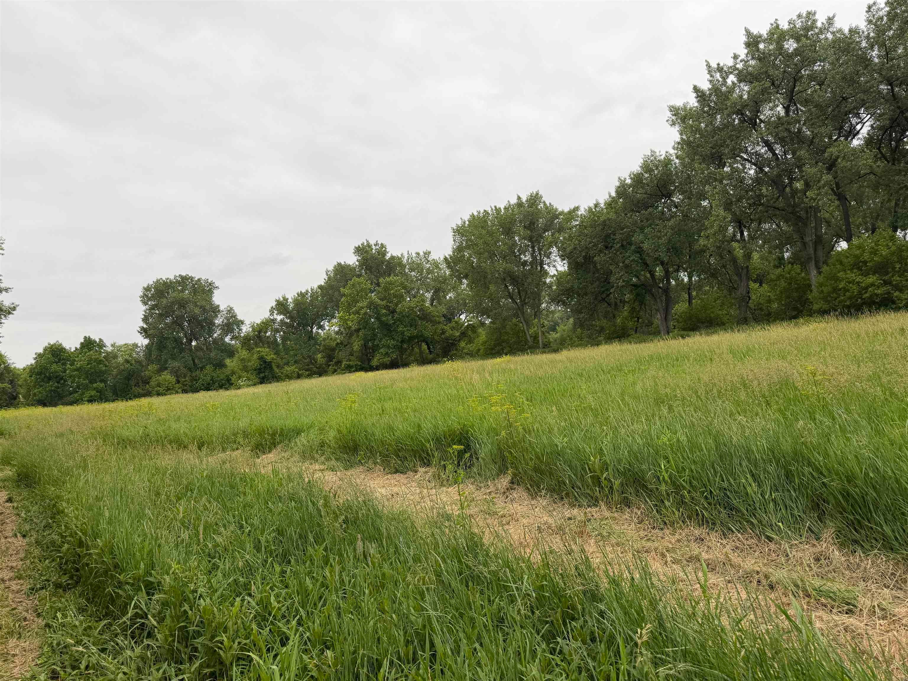 Xxx Canoe Road Strawberry Point, IA 52076 - Photo 8 of 22 Gallery Image 8