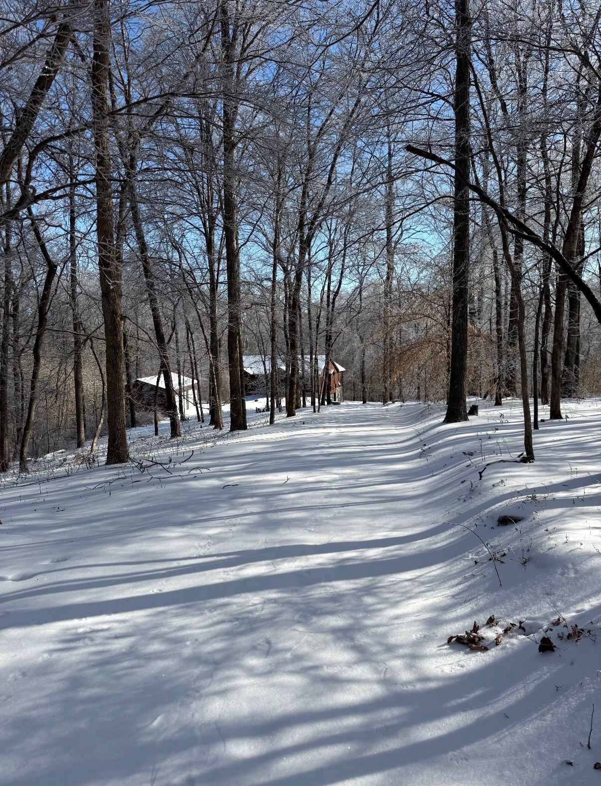4455 Tarsus Road Palmyra, TN 37142 - Photo 35 of 38 a view of road with trees