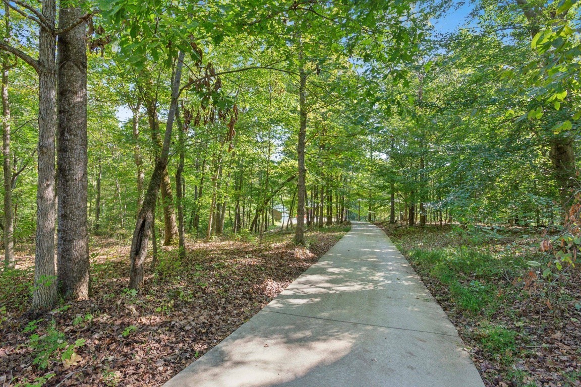 4455 Tarsus Road Palmyra, TN 37142 - Photo 4 of 38 a view of pathway in a yard