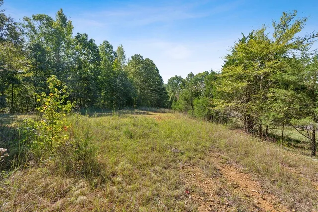 $714,900 | 4455 Tarsus Road, Palmyra, TN 37142