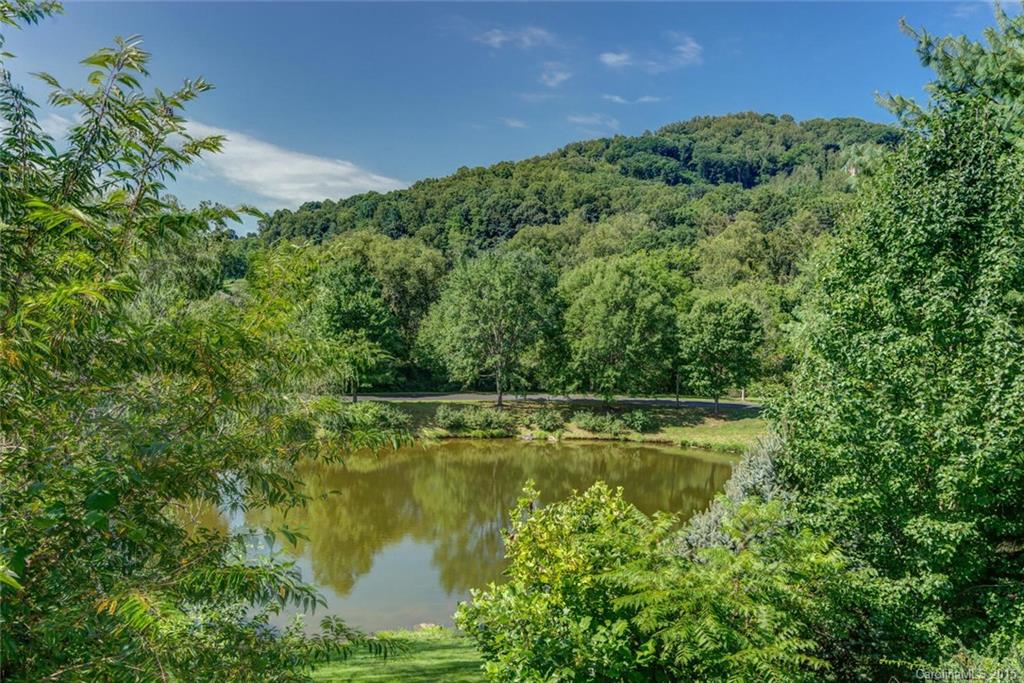 5 Pine Ridge Trail Arden, NC 28704 - Photo 21 of 24 Gallery Image 21