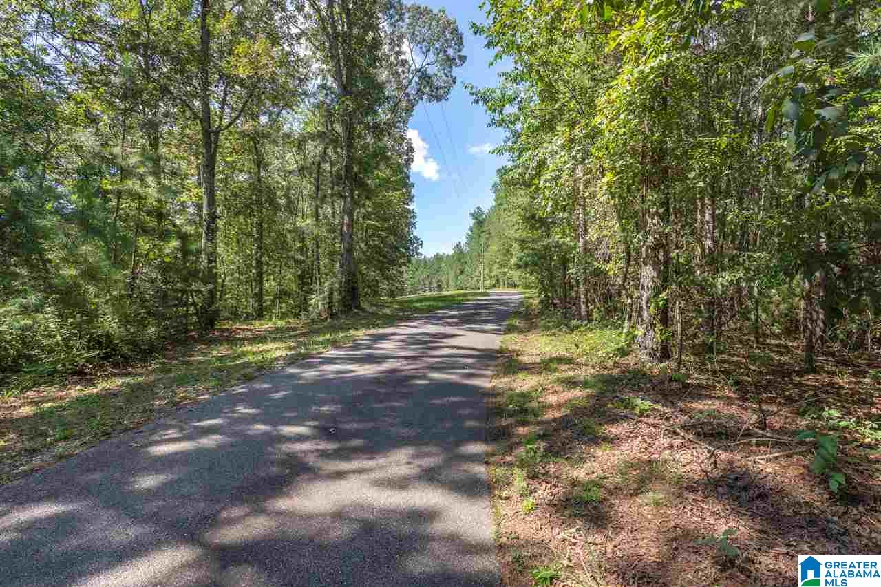 3771 Choccolocco Road Anniston, AL 36207 - Photo 5 of 5