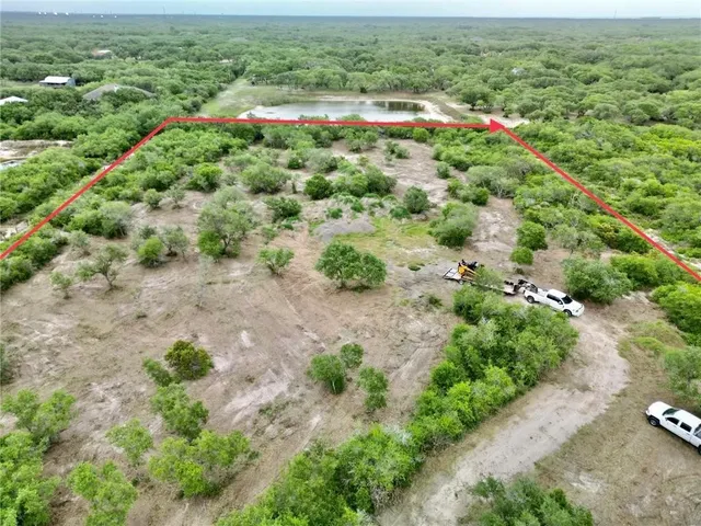 a view of a garden with a pathway