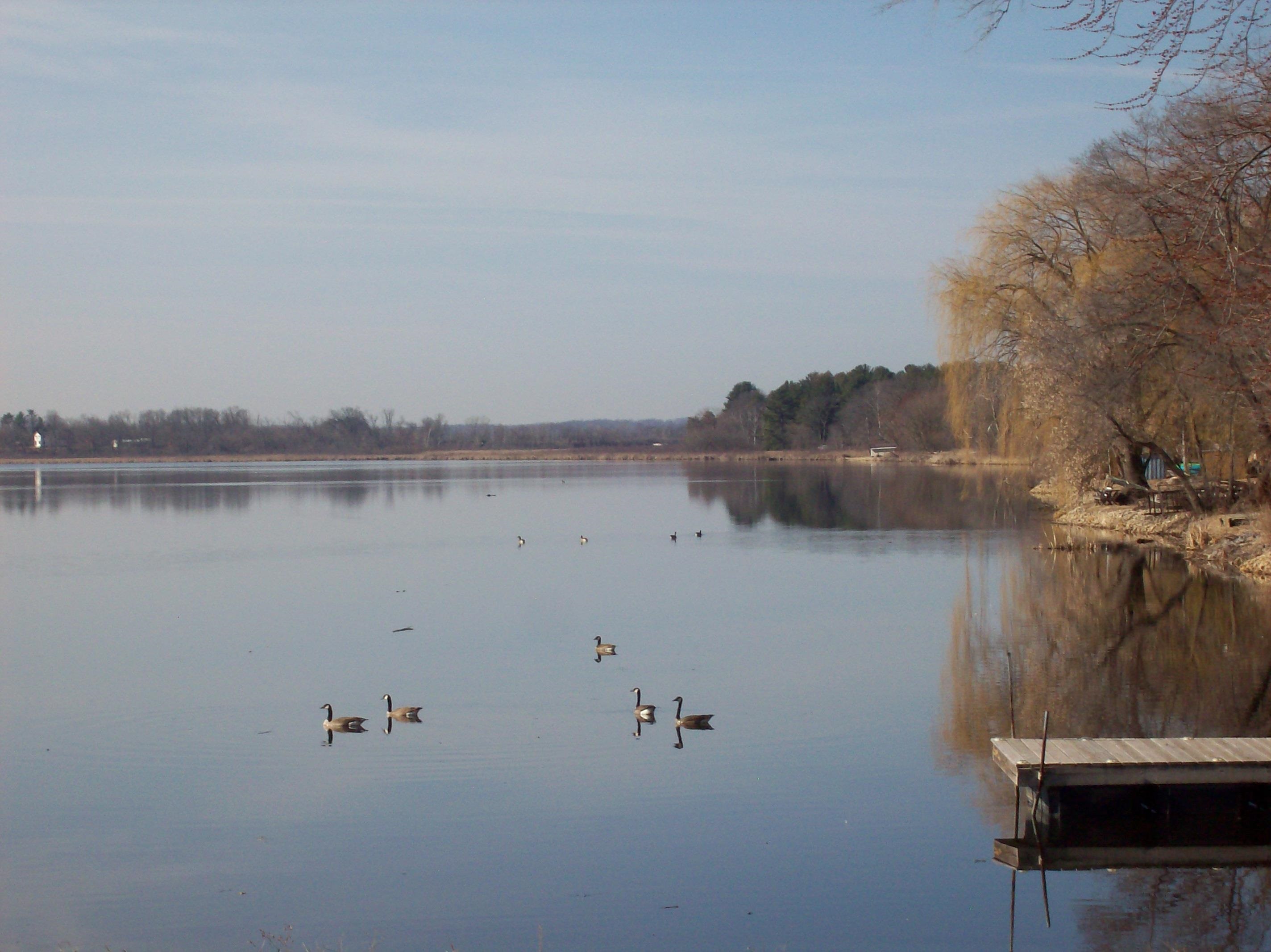 W5931 Liberty Street Packwaukee, WI 53953 - Photo 49 of 52