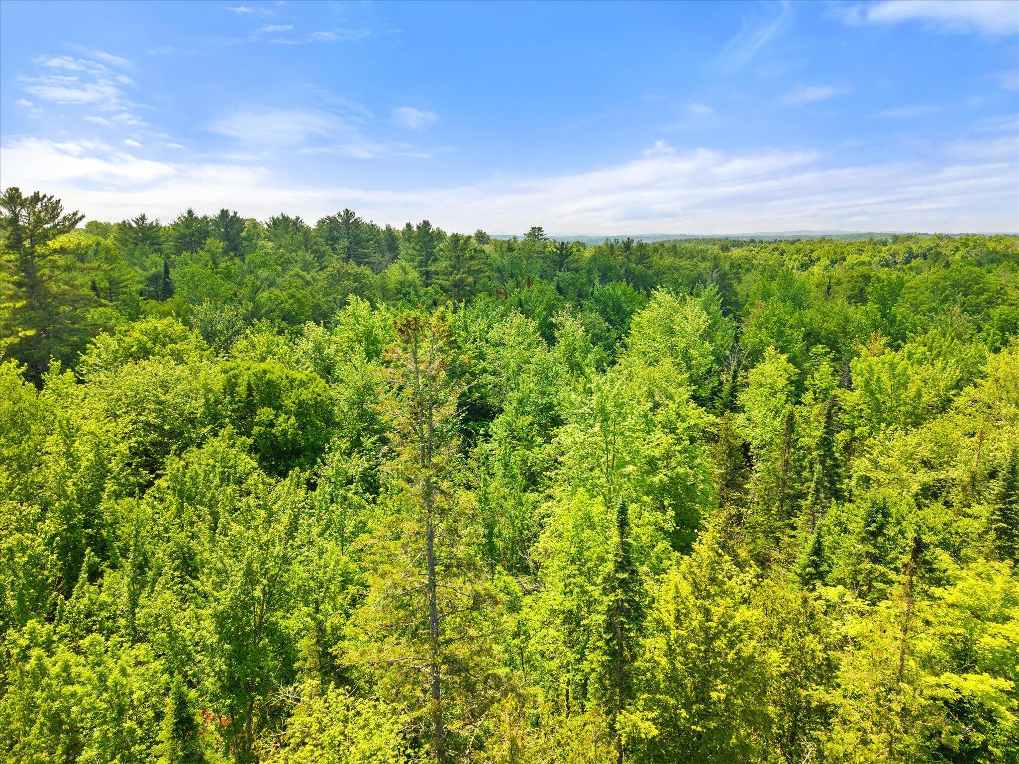0 Stetson Road East Levant, ME 04456 - Photo 14 of 17 14-Stetson Rd E