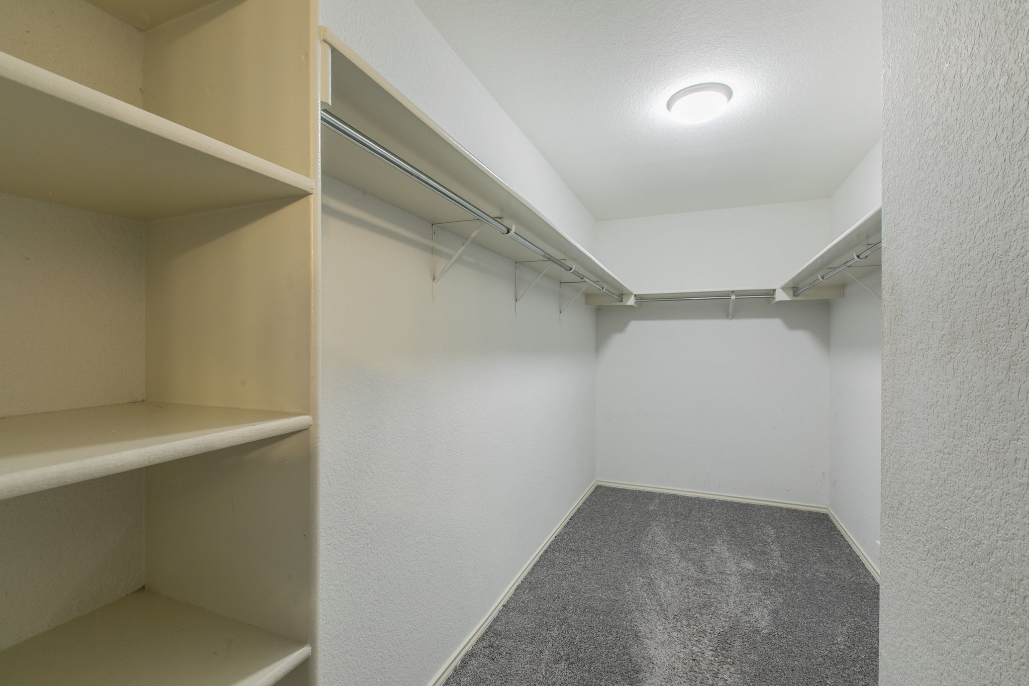 157 Lex Word Kyle, TX 78640 - Photo 28 of 34 Ample built-in shelving and hanging rods maximize storage in this carpeted walk-in closet.