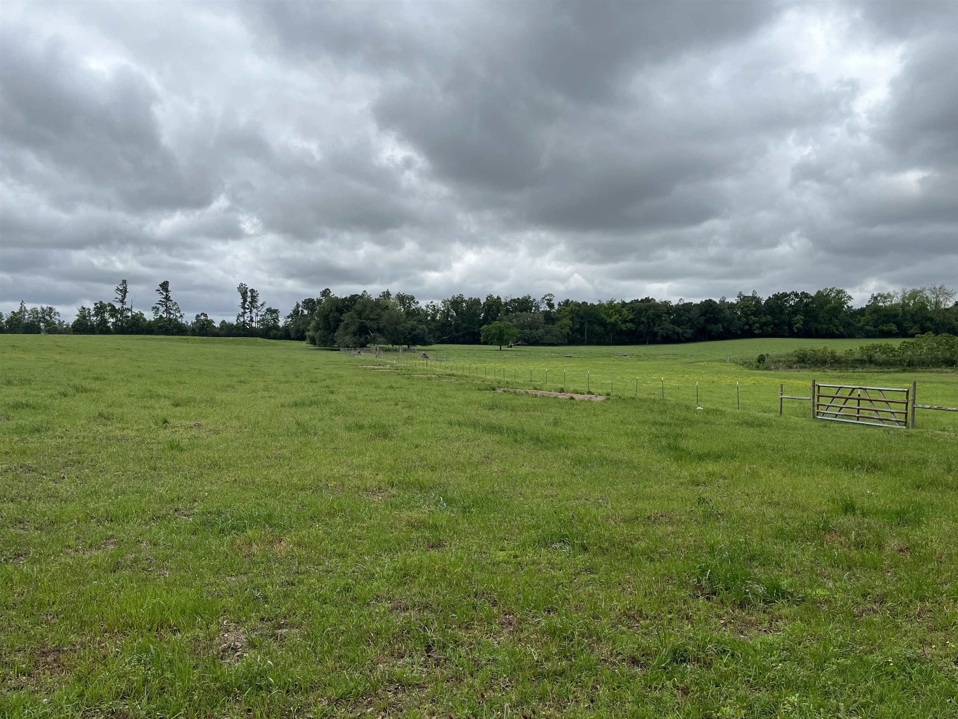 22000 Bengston Road Robertsdale, AL 36567 - Photo 8 of 12