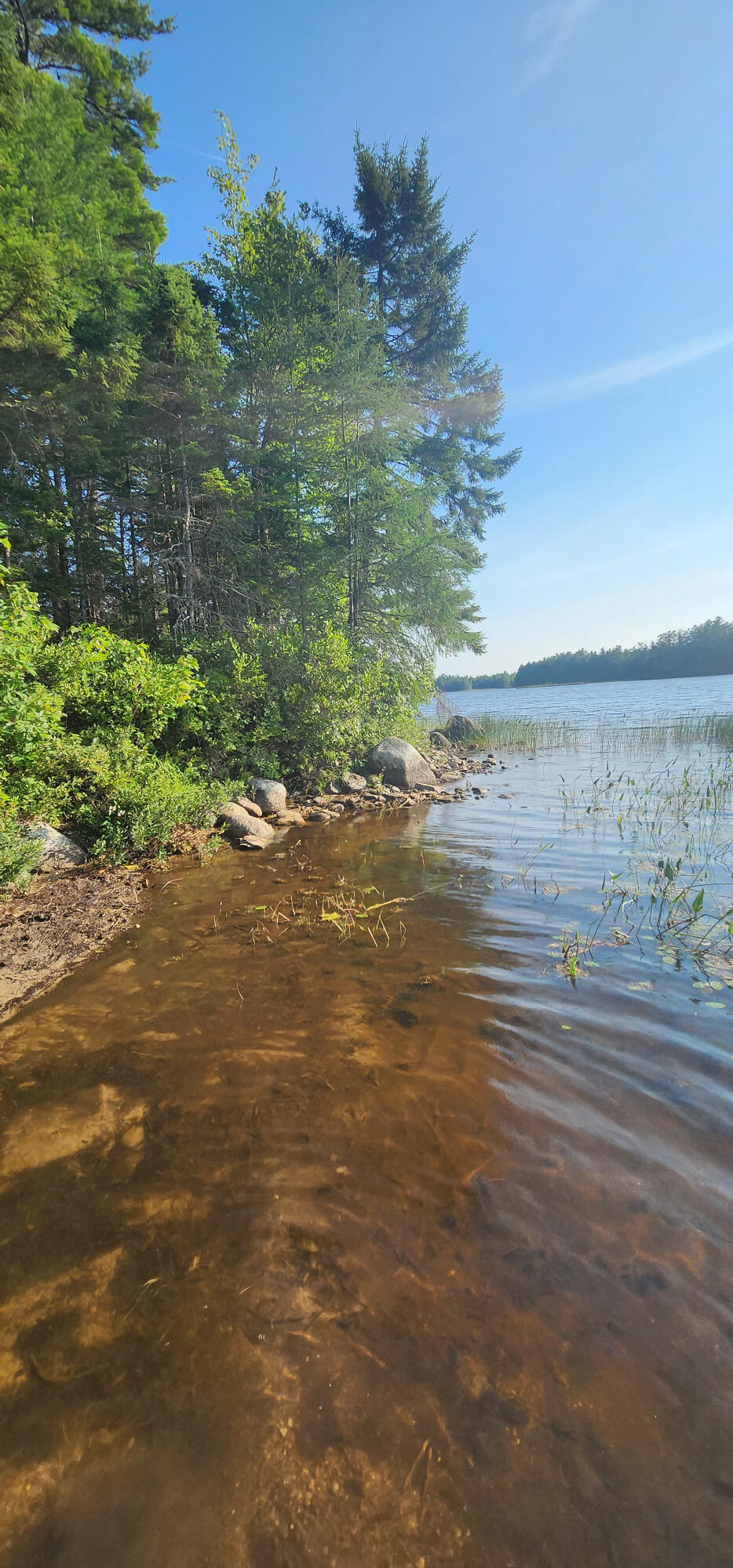 6 Wilderness Way Wesley, ME 04686 - Photo 3 of 26