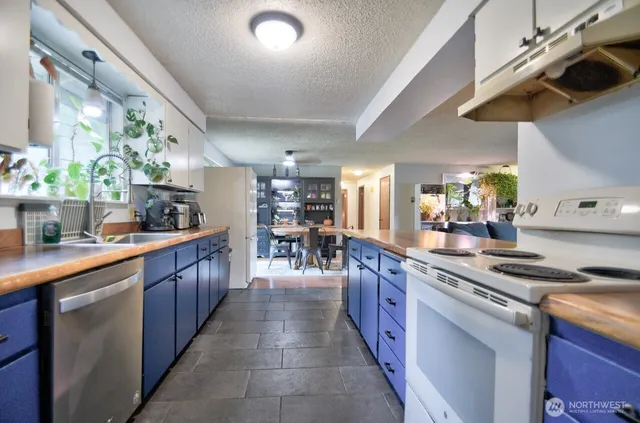 a kitchen with stainless steel appliances granite countertop a sink counter space cabinets and a potted plant