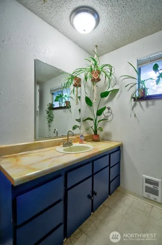 a bathroom with a granite countertop sink a large mirror and a potted plant