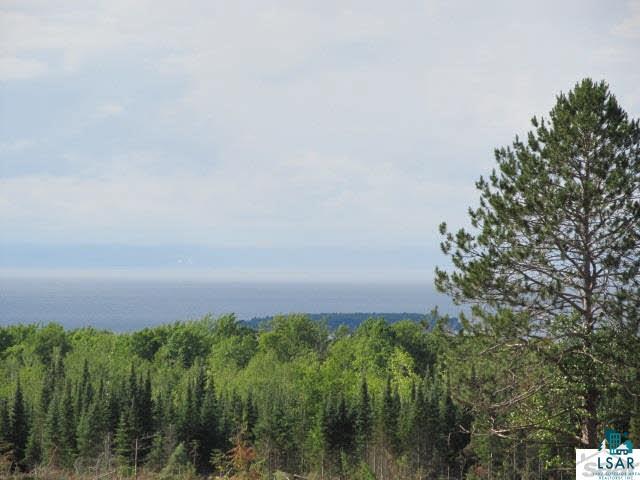 0 Eagle Island Road Bayfield, WI 54814 - Photo 1 of 14 Gallery Image 1