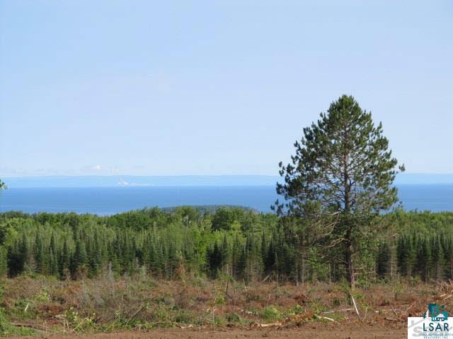 0 Eagle Island Road Bayfield, WI 54814 - Photo 12 of 14 Gallery Image 12