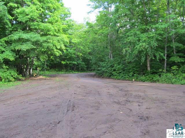 0 Eagle Island Road Bayfield, WI 54814 - Photo 6 of 14 Gallery Image 6