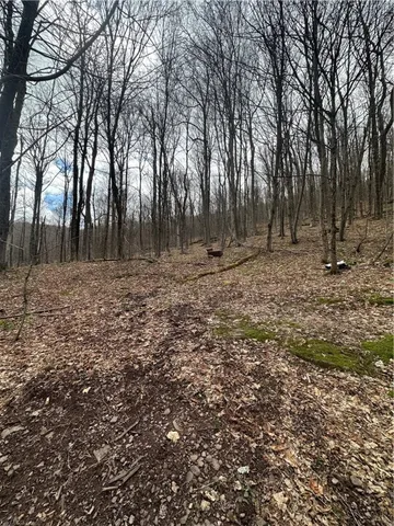 $29,900 | Kims Way, Hobart, NY 13788