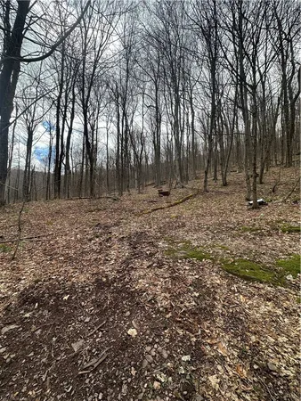 $29,900 | Kims Way, Hobart, NY 13788