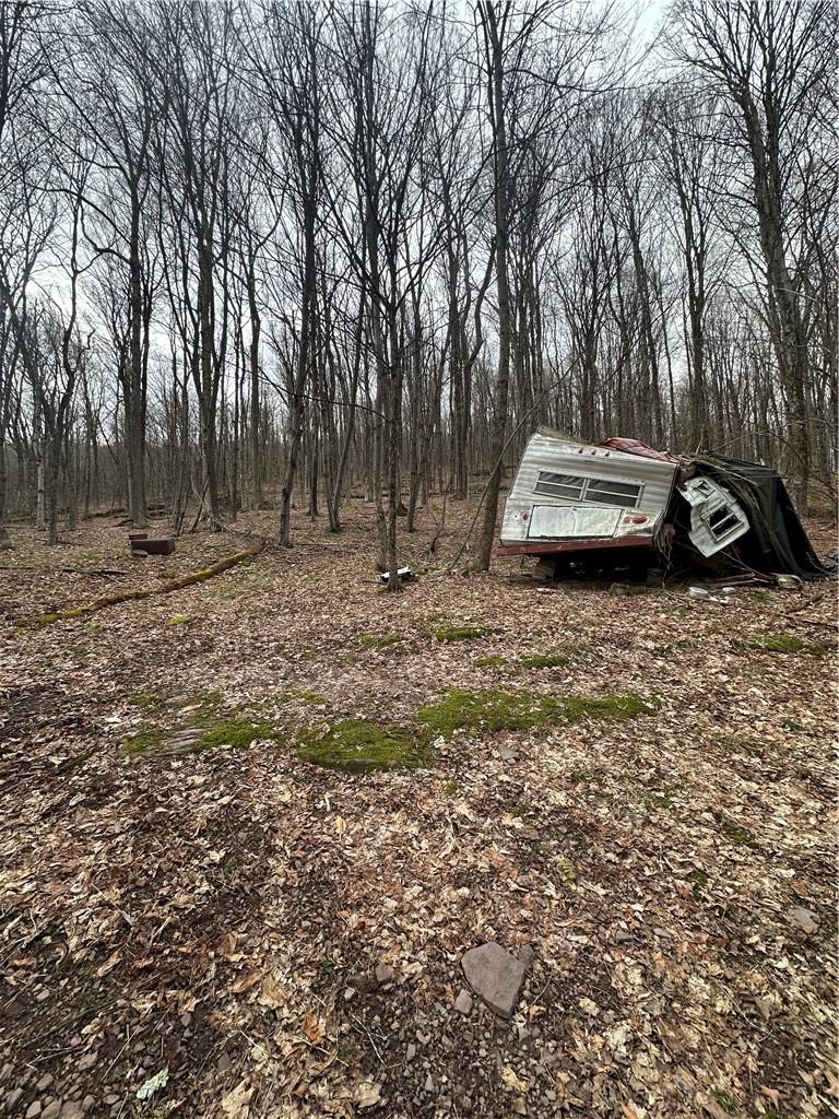 Kims Way Hobart, NY 13788 - Photo 2 of 5