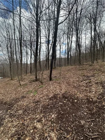 $29,900 | Kims Way, Hobart, NY 13788