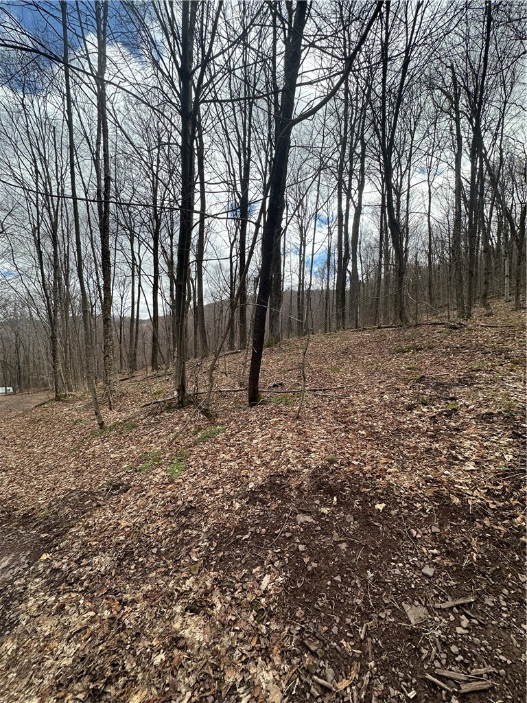 Kims Way Hobart, NY 13788 - Photo 3 of 5