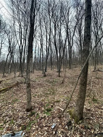 $29,900 | Kims Way, Hobart, NY 13788