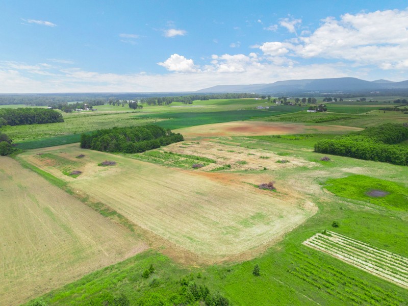 0 Billy Jones Road Morrison, TN 37357 - Photo 2 of 5 a view of a big yard with an outdoor space