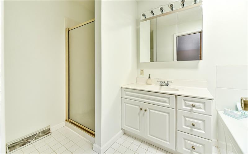 303 Ridgeway Drive Wexford, PA 15090 - Photo 14 of 21 On suite master bathroom with step in shower.
