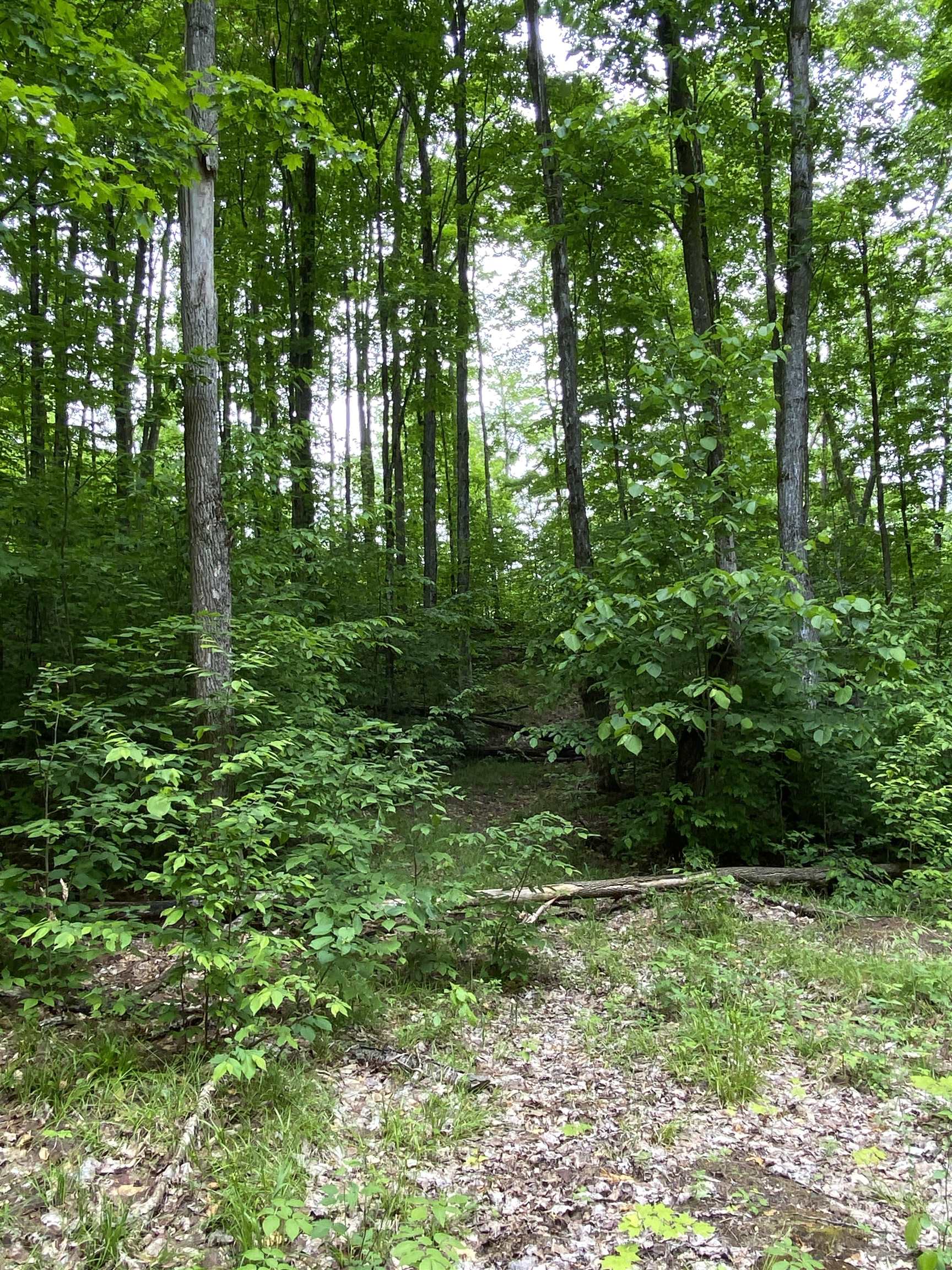 3 Stark Road, Unit LOT: 3 Mancelona, MI 49659 - Photo 20 of 26
