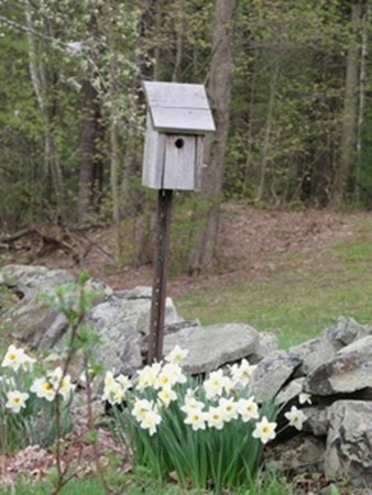 266 Haydenville Road Whately, MA 01093 - Photo 22 of 30