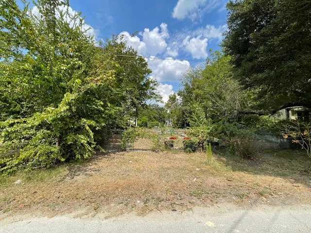 a view of a yard with a tree