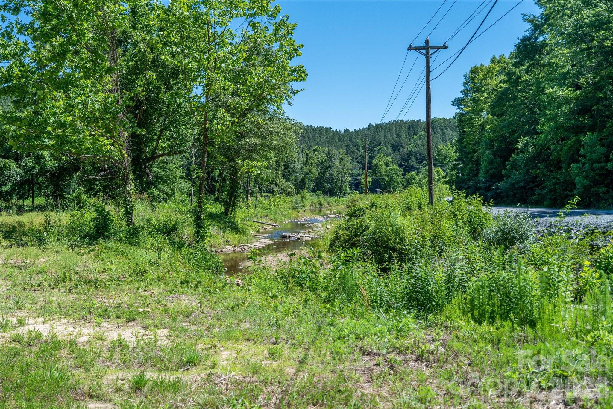1194 Palmer Road Mill Spring, NC 28756 - Photo 4 of 25